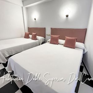 Habitación Superior con 2 Camas Individuales